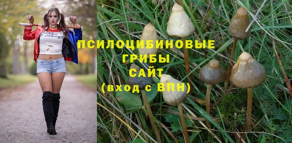 дмт Богородицк