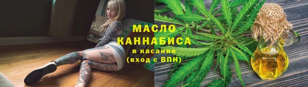 дмт Богородицк