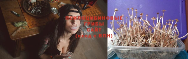 мяу мяу мука Бугульма