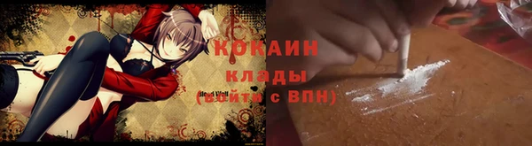 дмт Богородицк