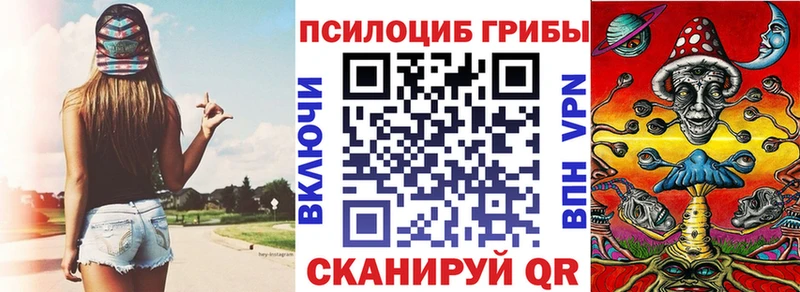 Псилоцибиновые грибы Psilocybe  Братск 